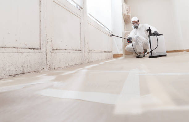 24/7 Emergency Mold Remediation experts in Saluda, VA