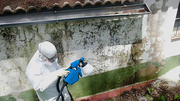 Top rated local Mold Remediation specialists in Saluda, VA